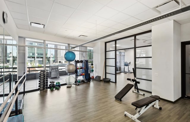 exercise room featuring hardwood / wood-style floors and a drop ceiling