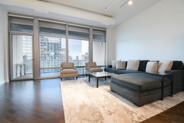 living room with wood-type flooring and floor to ceiling windows