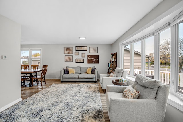 living room with wood-type flooring