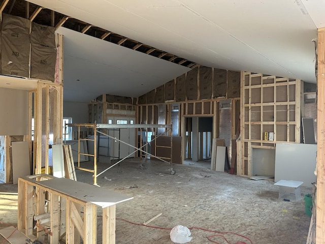 miscellaneous room featuring lofted ceiling