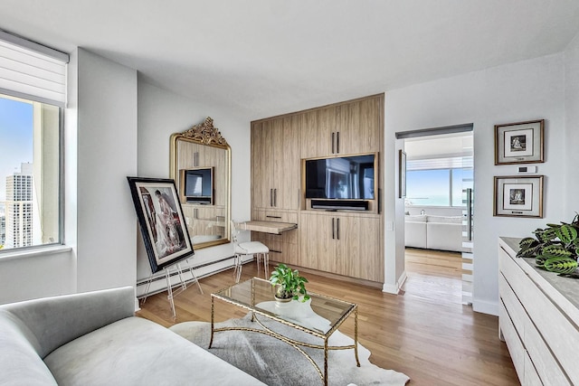 living room with light wood-type flooring and baseboard heating