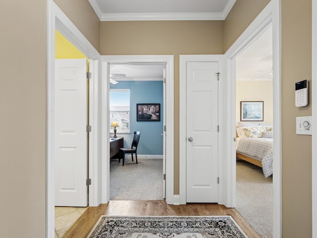 hallway with ornamental molding and light hardwood / wood-style floors