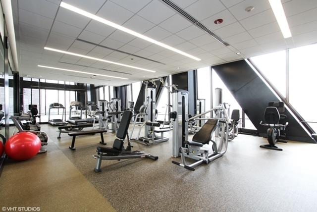 gym featuring expansive windows and a drop ceiling