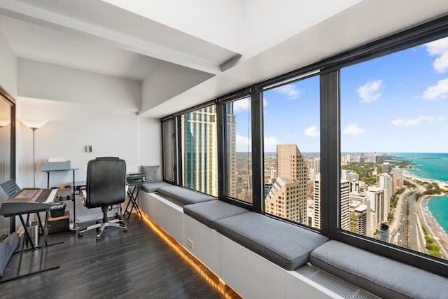 interior space featuring a water view and dark hardwood / wood-style flooring