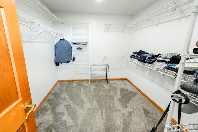 spacious closet with carpet flooring