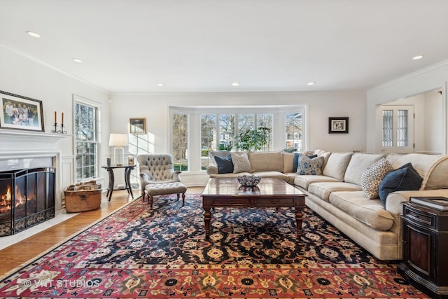 living room with crown molding and light hardwood / wood-style flooring