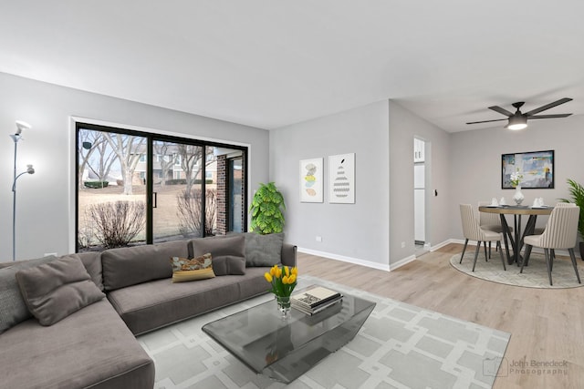 living room featuring ceiling fan and light hardwood / wood-style flooring