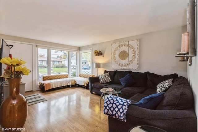 living room featuring light hardwood / wood-style flooring