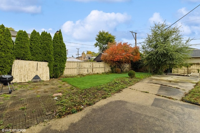 view of yard featuring a patio area