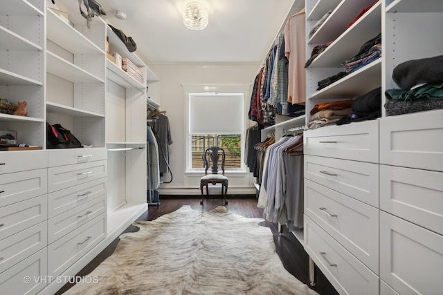 walk in closet featuring a baseboard heating unit and dark wood-type flooring