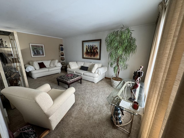 living room featuring ornamental molding and carpet floors