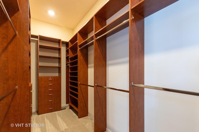 walk in closet featuring carpet floors