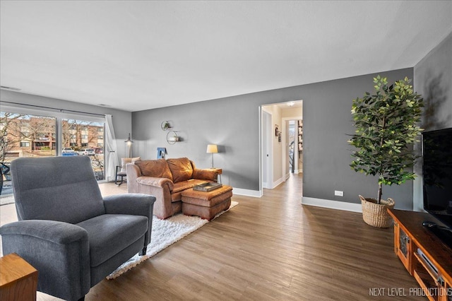 living room featuring wood-type flooring