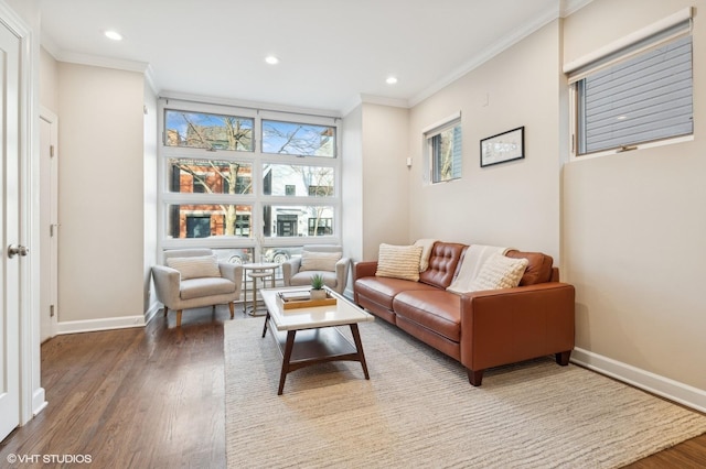 living room with crown molding and wood-type flooring