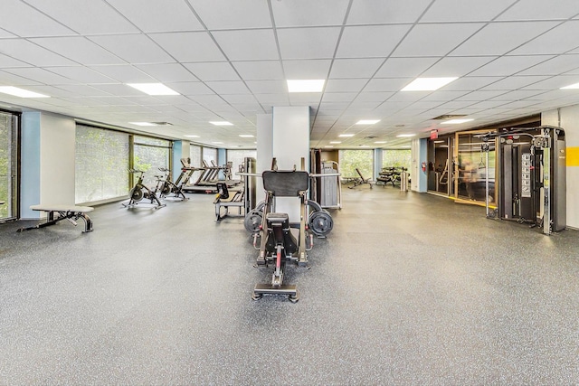 workout area with a drop ceiling and a wall of windows