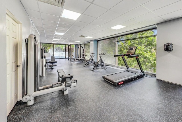 gym with expansive windows and a paneled ceiling