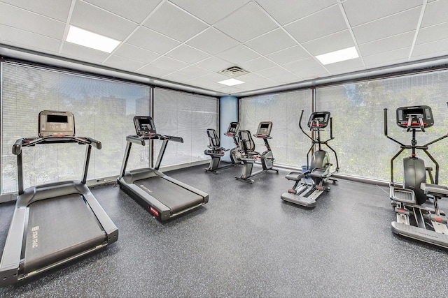 workout area with floor to ceiling windows and a drop ceiling