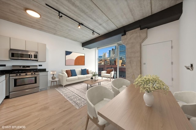 dining space with rail lighting and light hardwood / wood-style flooring