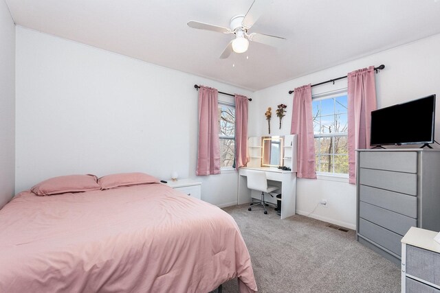 6402 N Shore Ave, Spring Grove, IL 60081 - bedroom featuring carpet flooring, a desk, baseboards, and ceiling fan