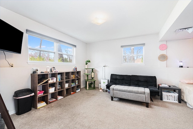 6402 N Shore Ave, Spring Grove, IL 60081 - sitting room featuring carpet floors