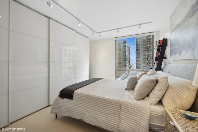 carpeted bedroom featuring rail lighting