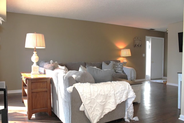 living room with dark hardwood / wood-style flooring