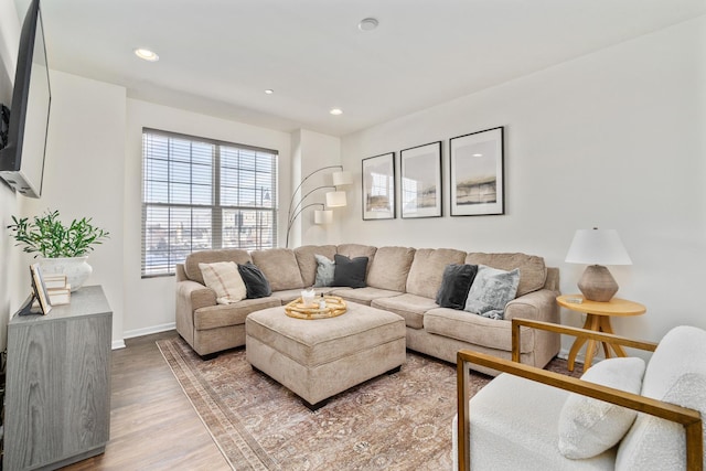 living room featuring wood-type flooring