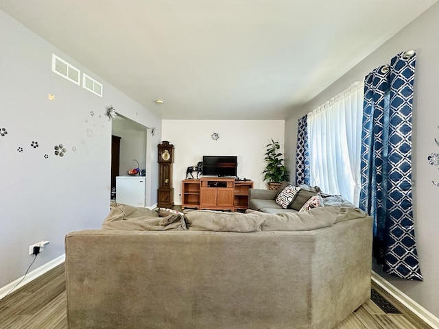 living room featuring wood-type flooring