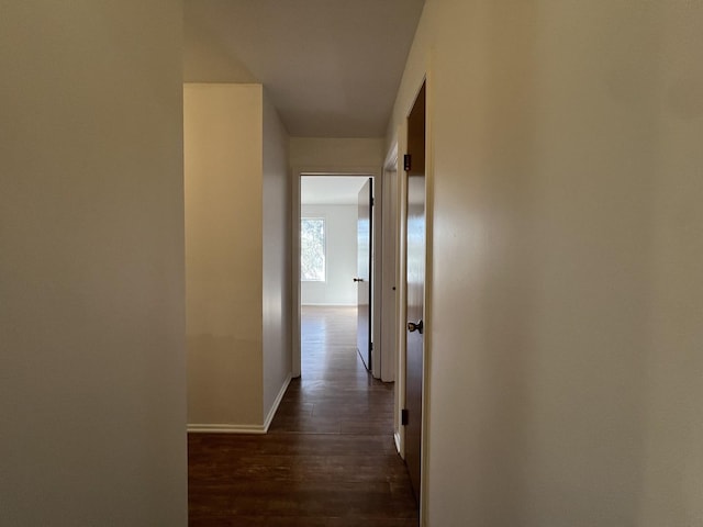 corridor featuring dark wood-type flooring