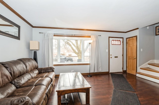 living room featuring dark wood-type flooring and crown molding