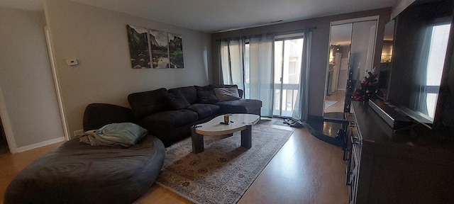 living room with light hardwood / wood-style flooring