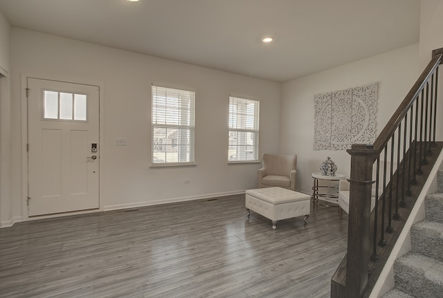 foyer entrance featuring wood-type flooring