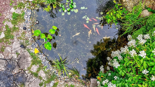 exterior details with a small pond