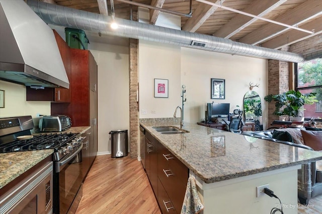 kitchen with sink, stainless steel appliances, light stone countertops, wall chimney exhaust hood, and light wood-type flooring