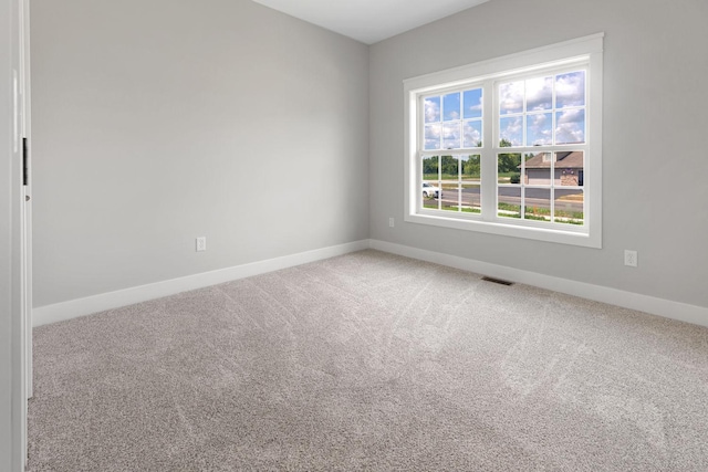 363 Mill Ridge Dr, Byron, IL 61010 - photo 13
