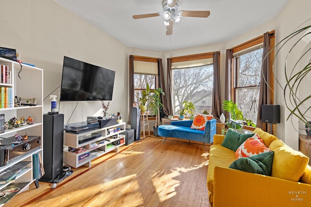 living area with ceiling fan and hardwood / wood-style floors