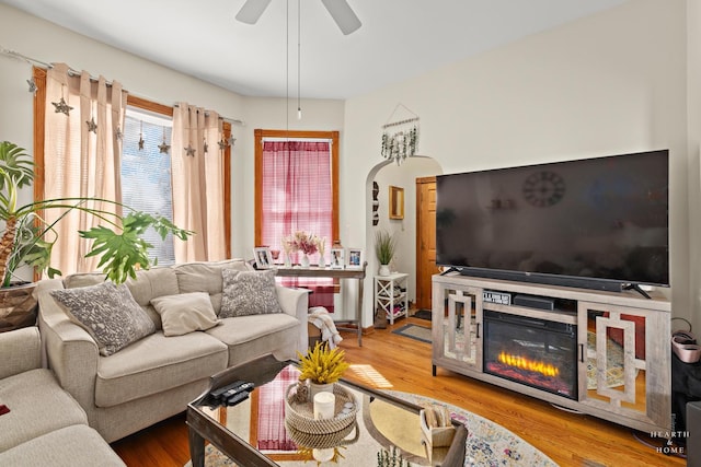 living room with ceiling fan and wood-type flooring