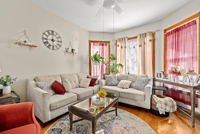 living room with wood-type flooring and ceiling fan