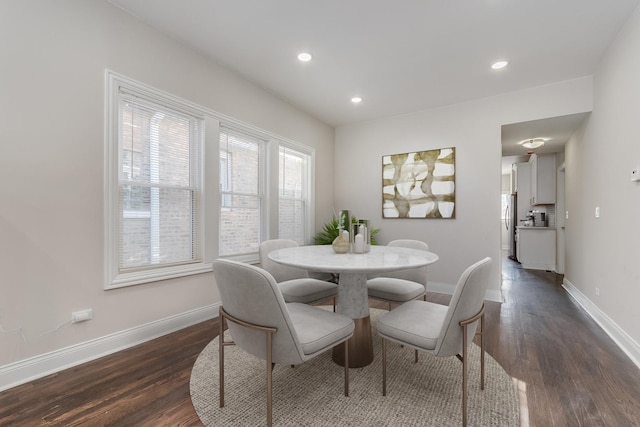 dining space featuring dark wood-type flooring