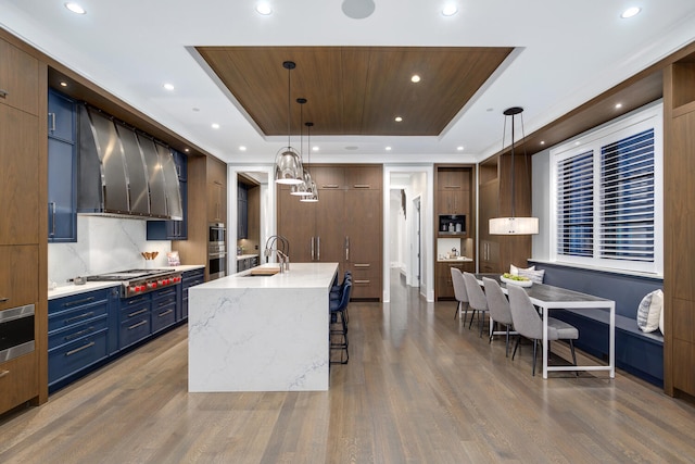 kitchen featuring a tray ceiling, appliances with stainless steel finishes, dark wood-type flooring, a sink, and wall chimney exhaust hood