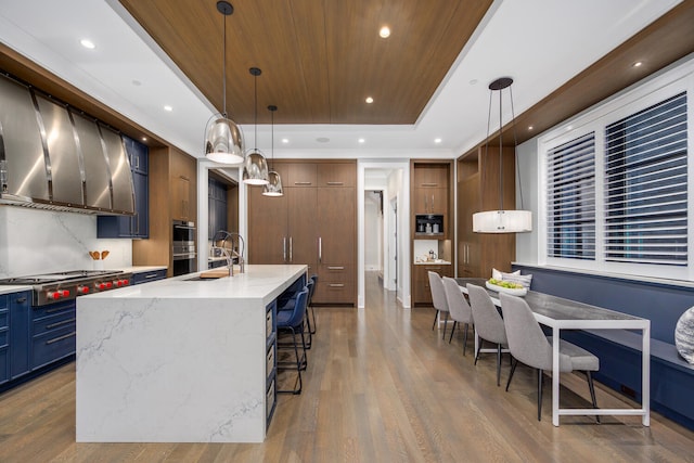 kitchen with stainless steel appliances, wood finished floors, a spacious island, and a raised ceiling