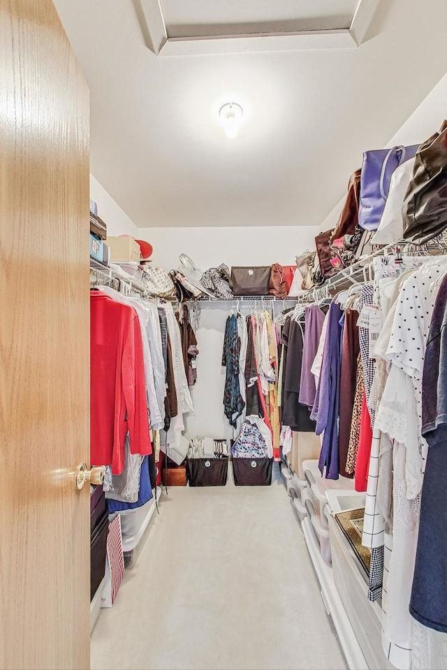 spacious closet featuring carpet floors