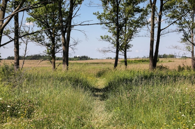 view of nature featuring a rural view