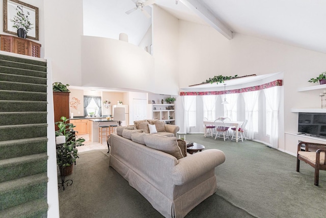 living room featuring beam ceiling, high vaulted ceiling, ceiling fan, and carpet