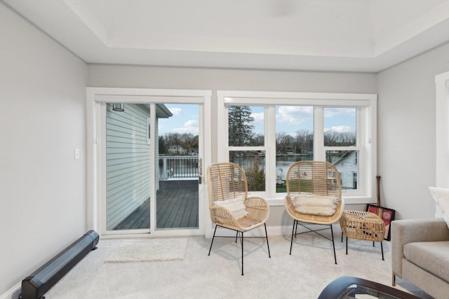 sitting room featuring light carpet, a wealth of natural light, a raised ceiling, and a water view