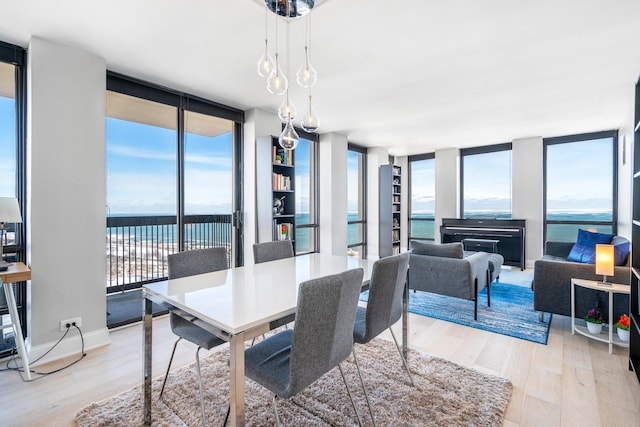 dining room featuring a water view, light wood-style floors, baseboards, and a wall of windows