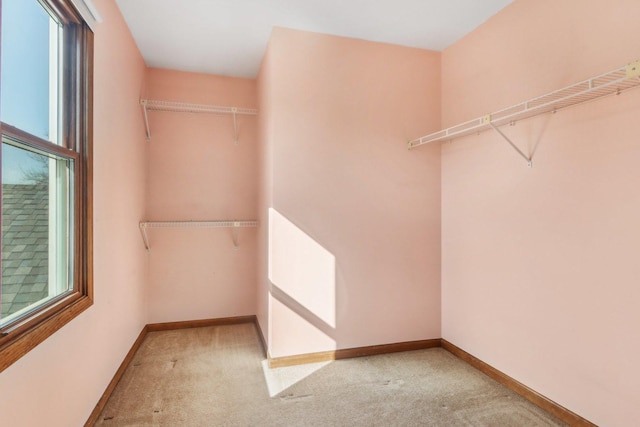 spacious closet featuring light carpet