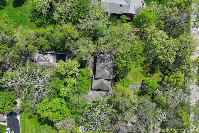 bird's eye view