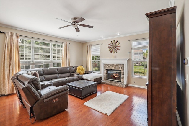 living room with crown molding, hardwood / wood-style floors, ceiling fan, and a fireplace