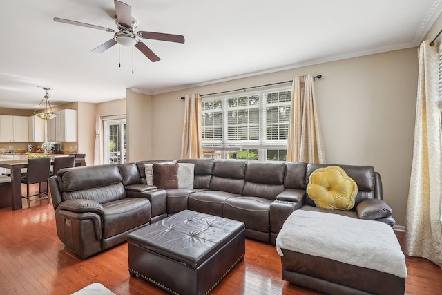 living room with ornamental molding, hardwood / wood-style floors, and ceiling fan